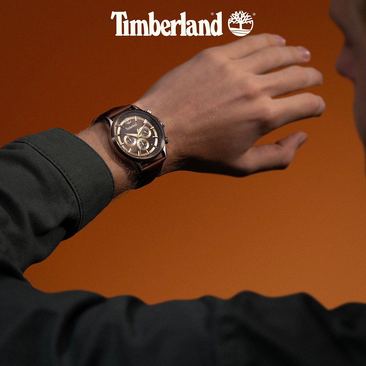 TIMBERLAND BERNARDSTON